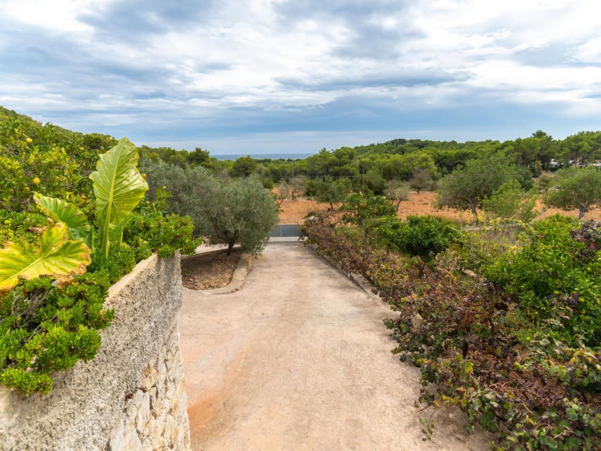 Holiday Home Can Pep Jaume By Interhome Es Cana Buitenkant foto